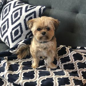 Meet your Posher, Cindy